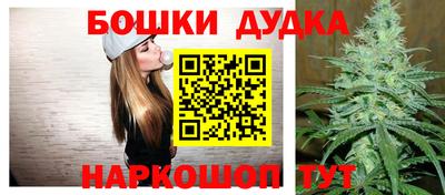 амф Бийск