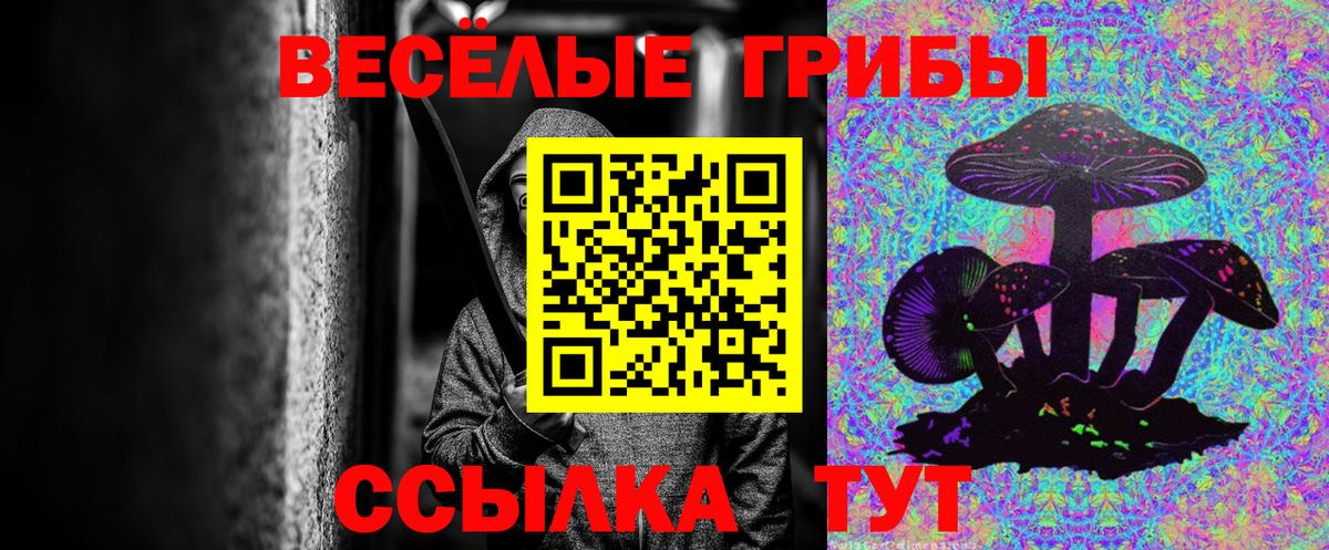 Псилоцибиновые грибы мухоморы Воронеж