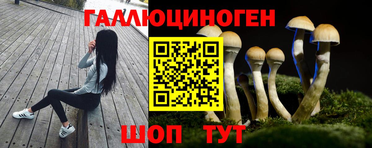 продажа наркотиков  Вход с VPN  Воронеж  Галлюциногенные грибы мухоморы  Псилоцибиновые грибы MAGIC MUSHROOMS 
